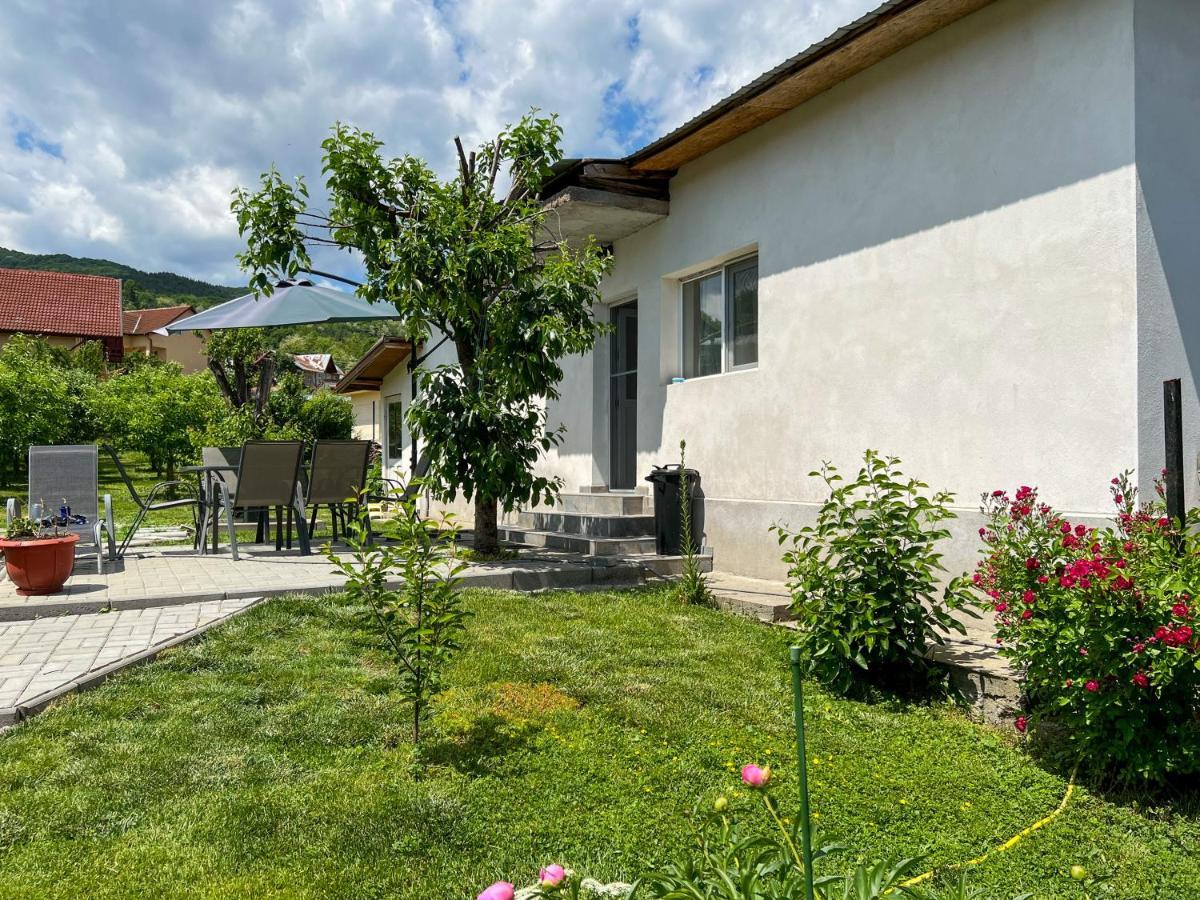 Villa Casuta De Vacanta Călimăneşti Exterior foto